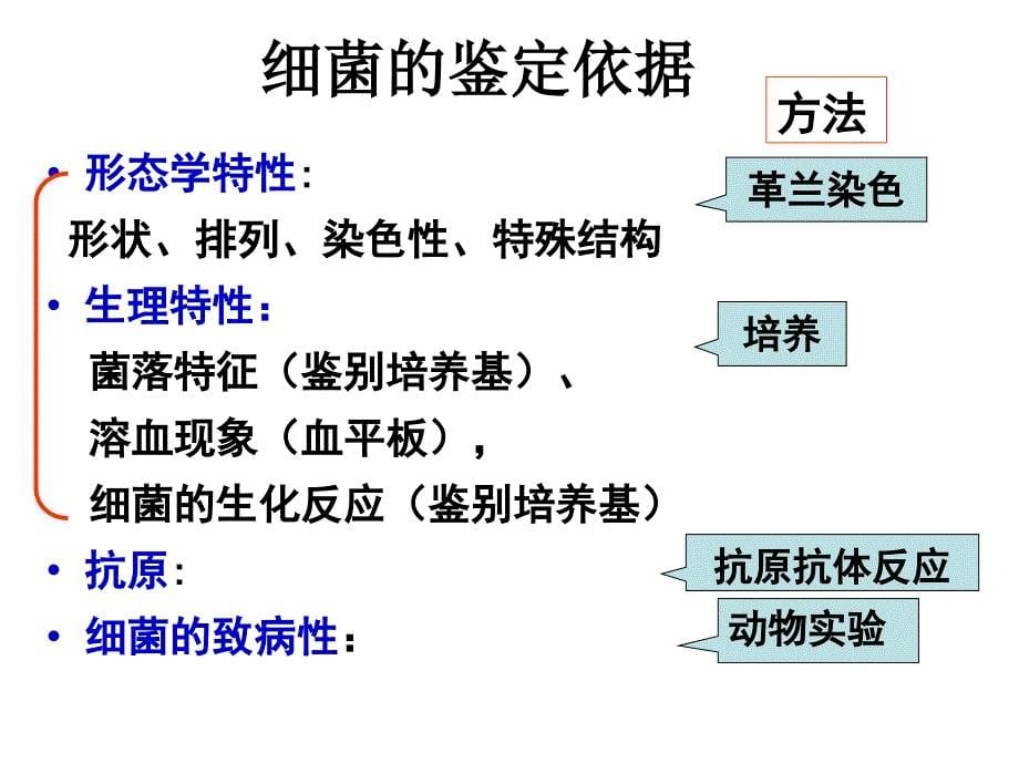 临床标本的细菌学_第5页