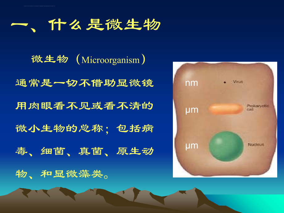 微生物绪论课件_第4页