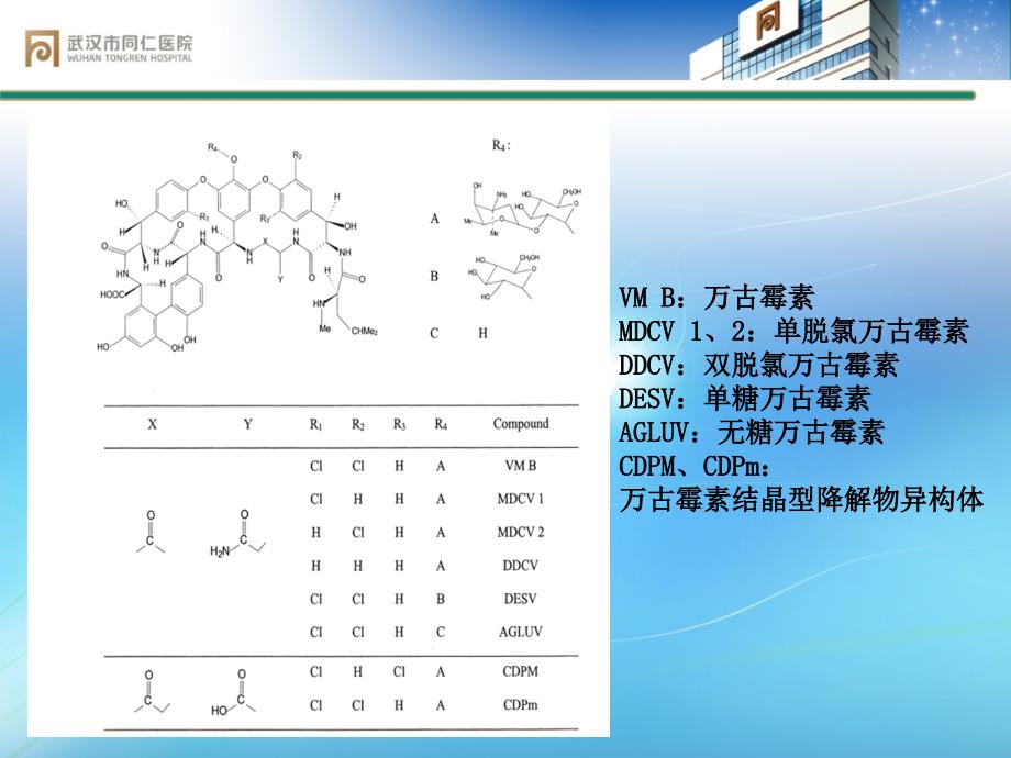 2016糖肽类药物的临床应用课件_第4页