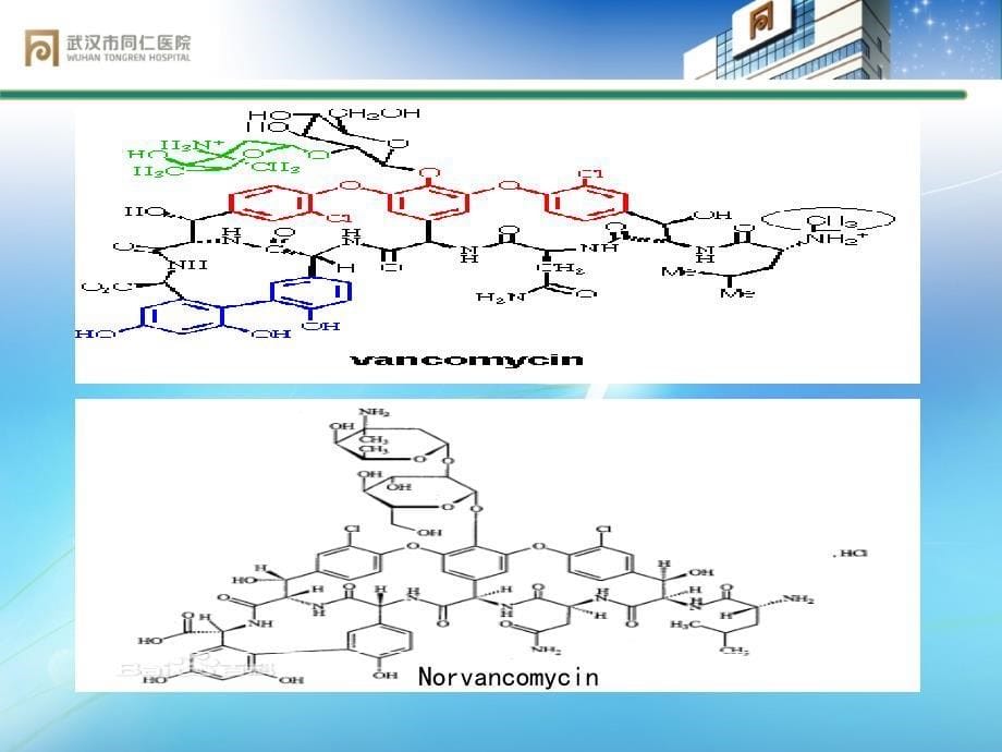 2016糖肽类药物的临床应用课件_第5页