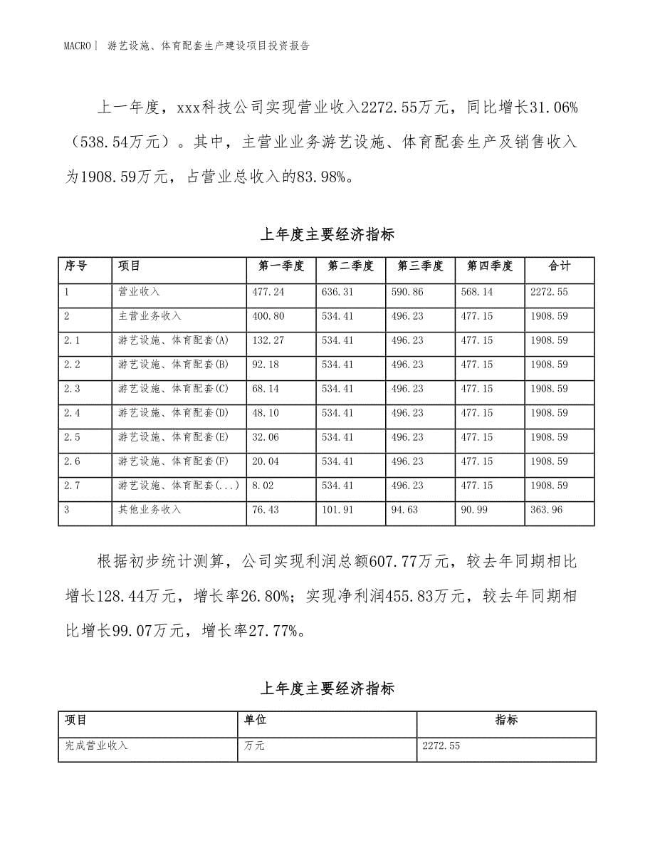 游艺设施、体育配套生产建设项目投资报告_第5页