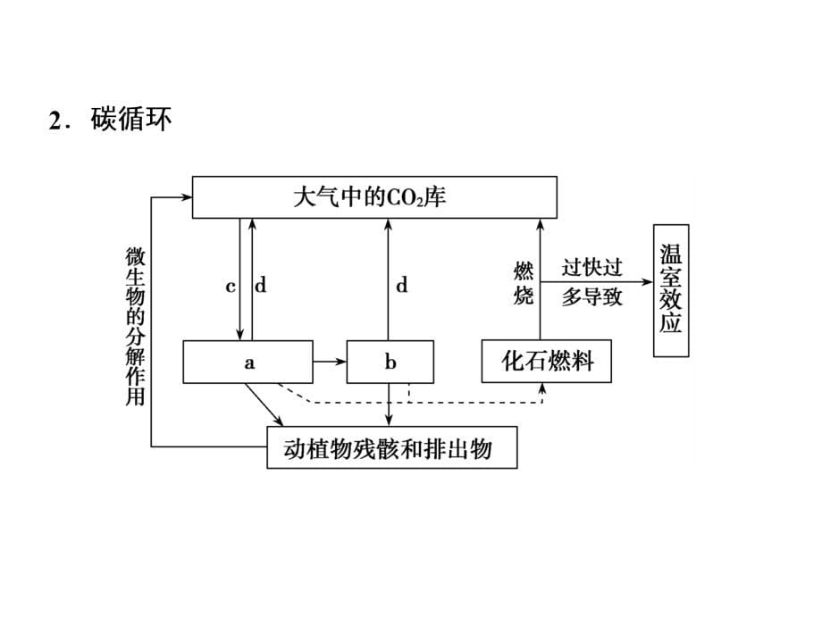 【人教版】2019版高考一轮：9.4-生态系统的物质循环幻灯片_第5页