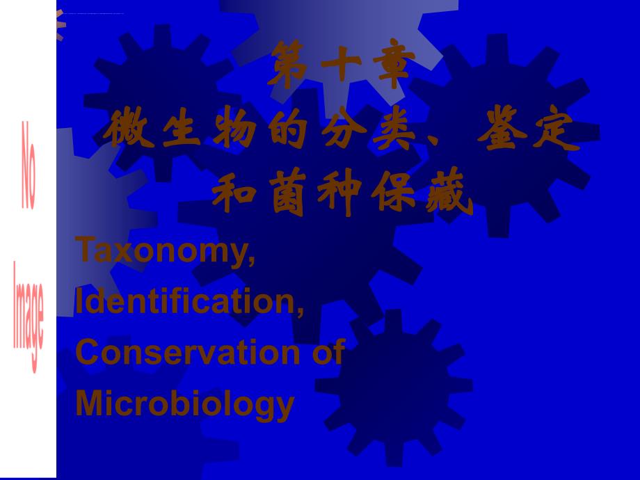 微生物分类鉴定和菌种保藏课件_第1页
