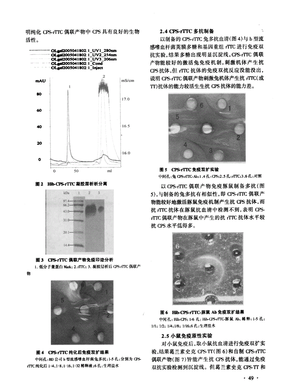 b型流感嗜血杆菌(hib)荚膜多糖(cps)-重组破伤风类毒素c段(rttc)结合疫苗的制备及免疫原性检测_第3页