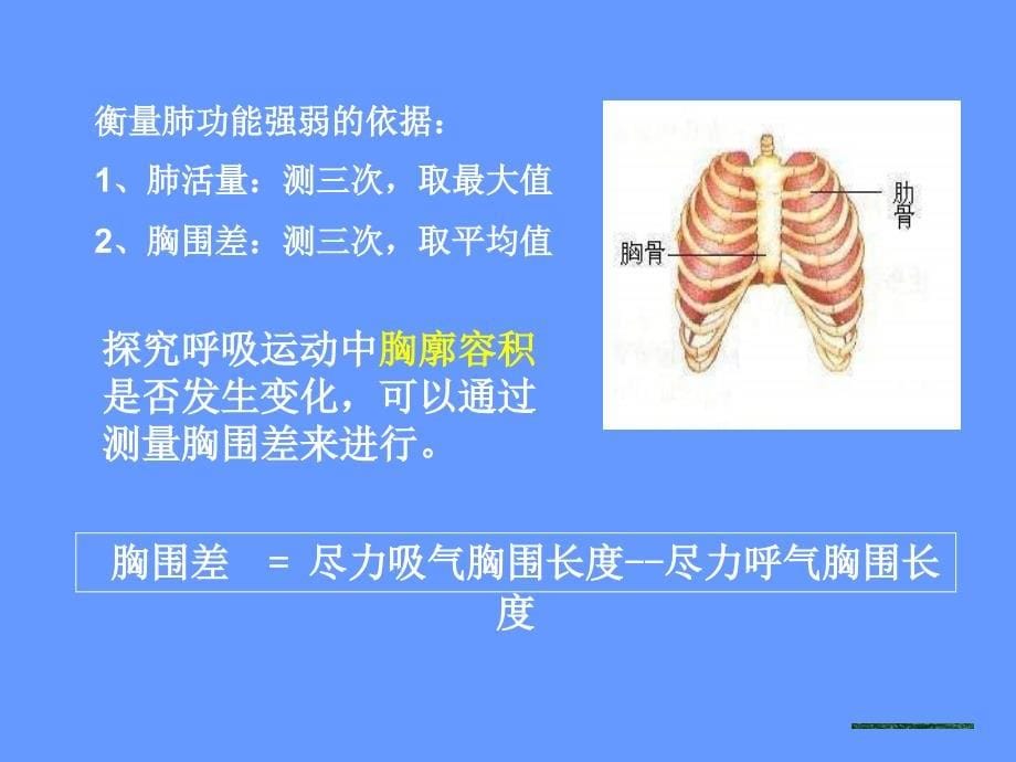 发生在肺内的气体交换_10课件_第5页