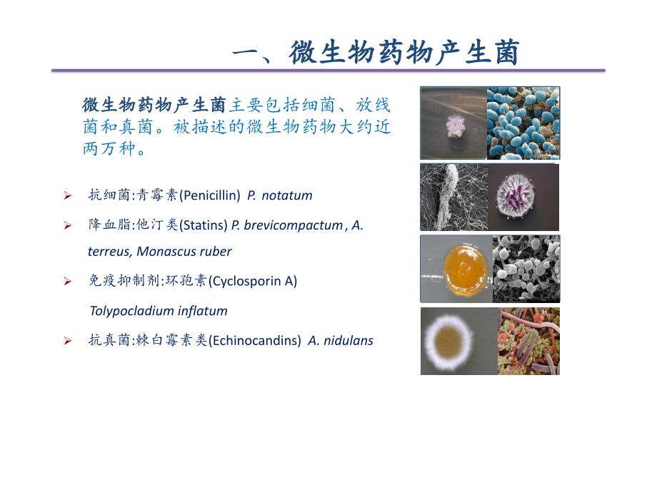 微生物药物产生菌菌种的保藏与质量控制课件_第3页
