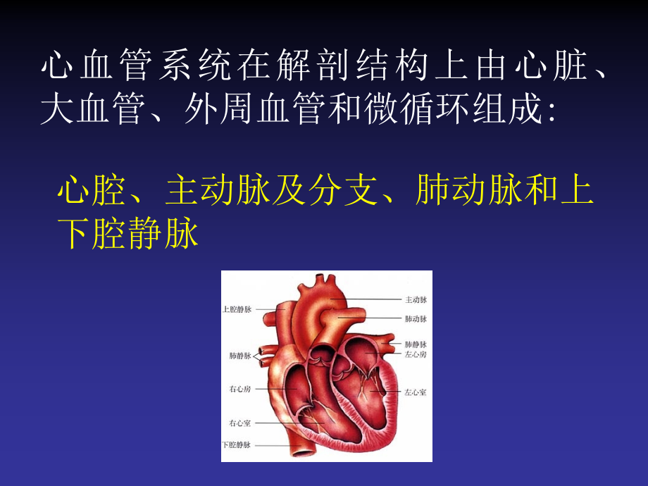 心血管手术的麻醉--住院医师培训(安贞)_第3页