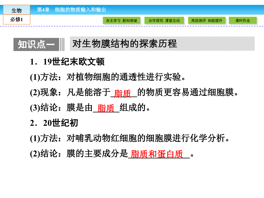 (人教版)高中生物必修一：4.2《生物膜的流动镶嵌模型》ppt课件_第4页