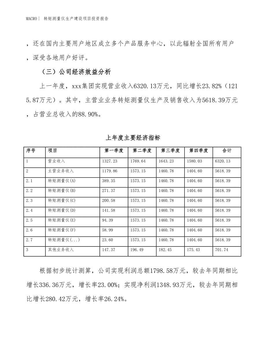 转矩测量仪生产建设项目投资报告_第5页