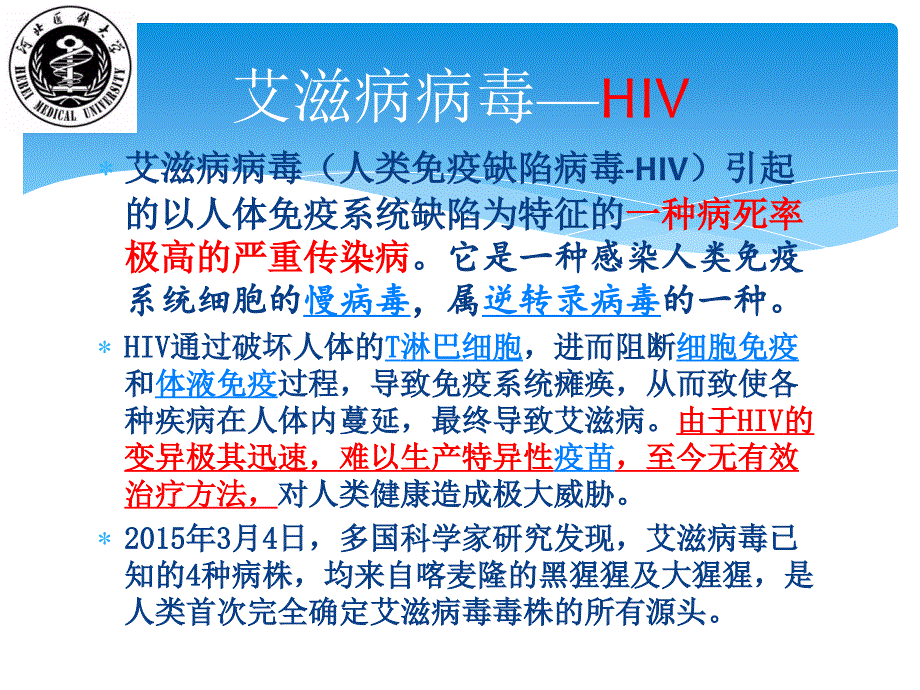 大学生社会实践预防艾滋病宣传课件_第4页