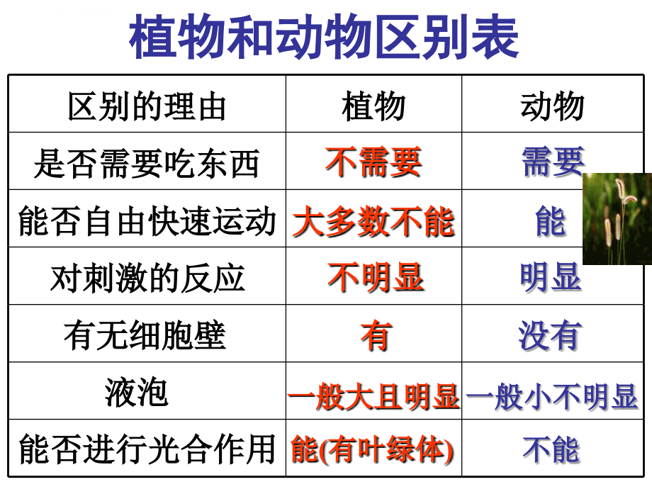 七上科学第二单元复习(ppt)课件_第3页