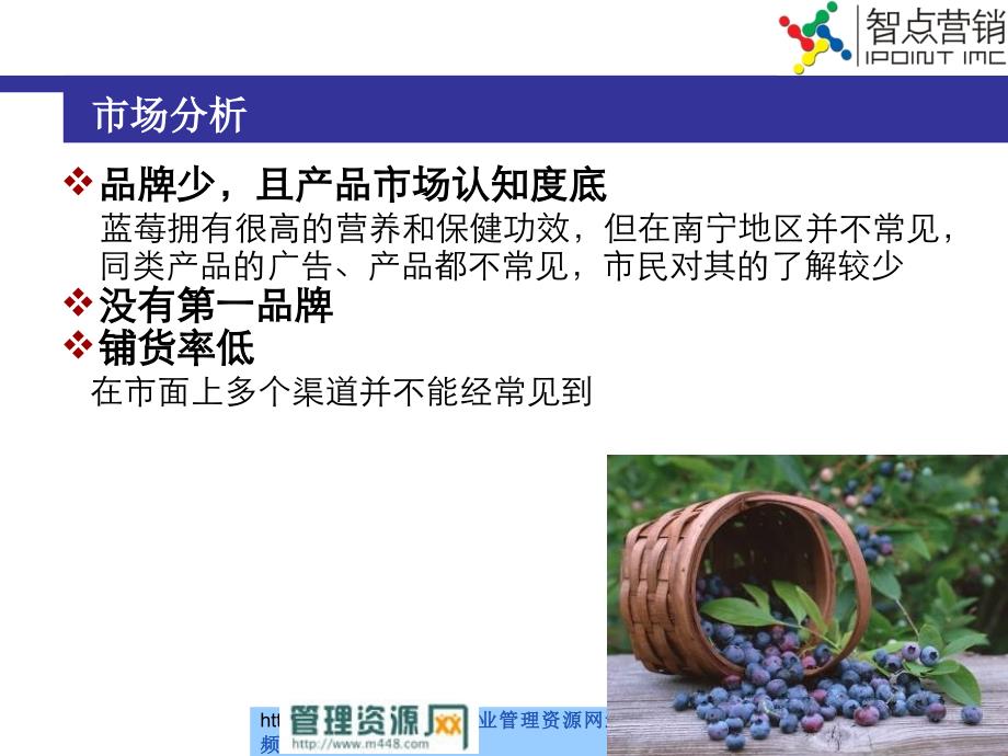 (ppt)-《蓝莓类产品南宁地区营销推广策划提案报告》(32页)-产品策略_第3页