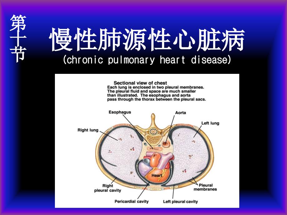 慢性肺源性心脏病（护理）课件_第1页