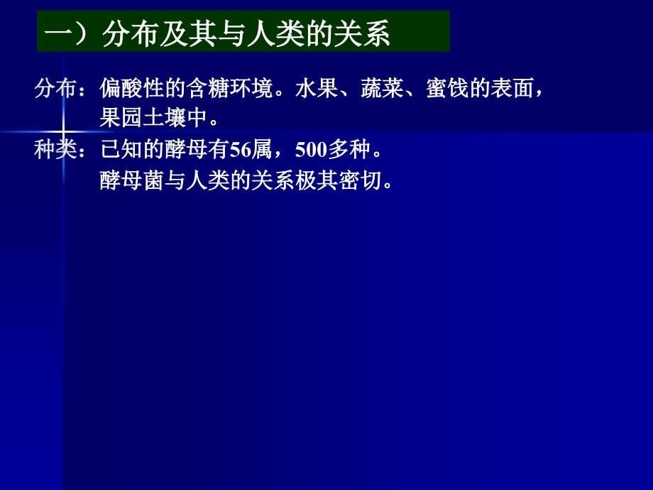 微生物幻灯片4真核微生物_第5页