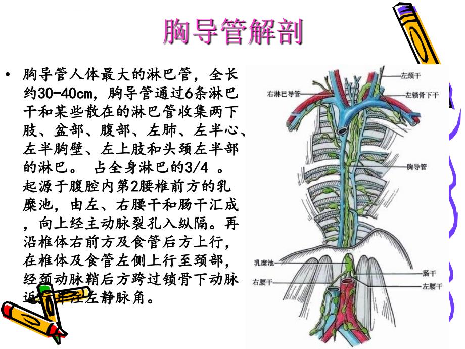 乳糜胸-(个人整理)课件_第4页