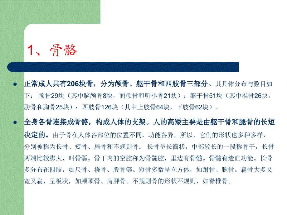 体育常识人体部位图课件_第2页