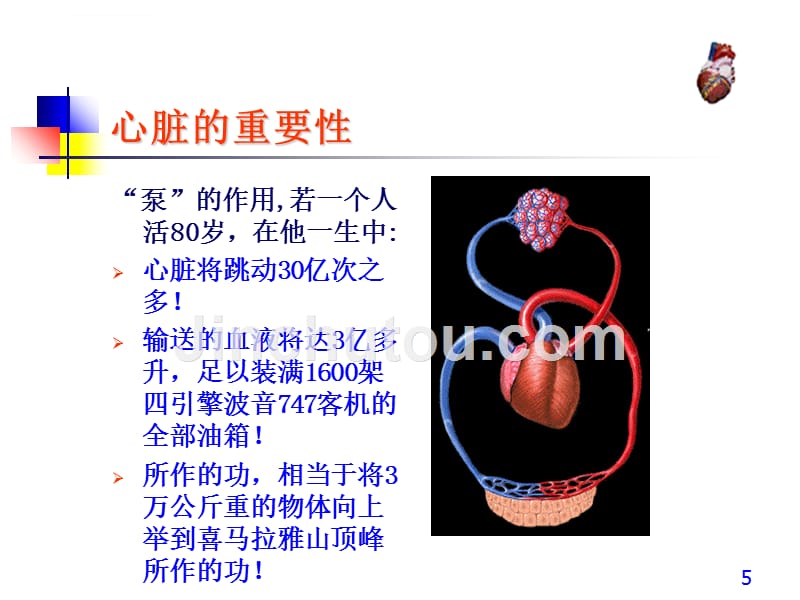 心力衰竭的病理生理学机制及治疗进展课件_第5页