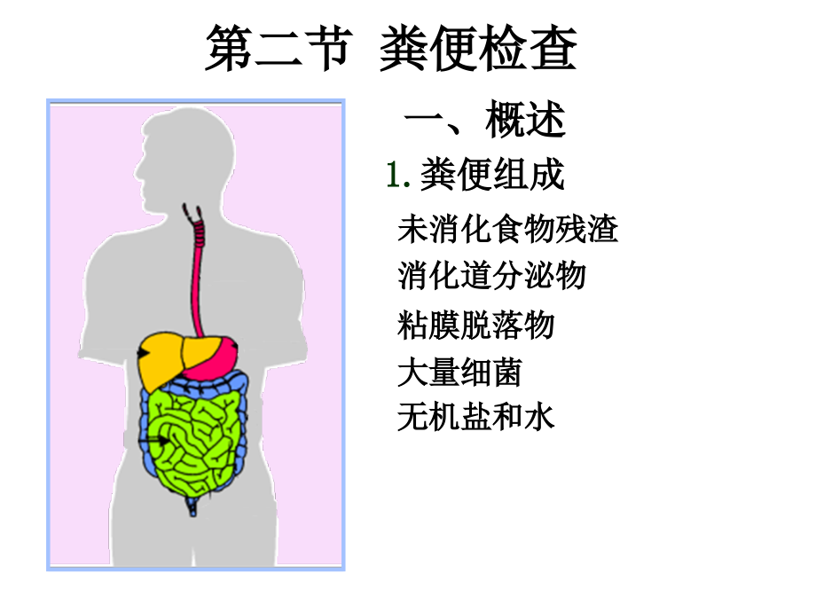 排泄物分泌物及体液检查_第3页