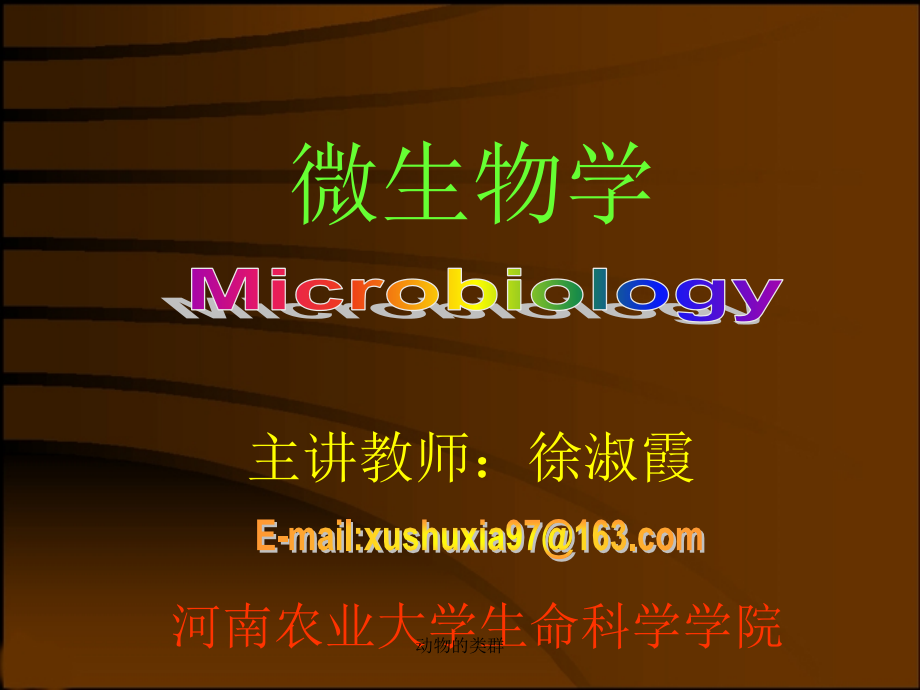 农业微生物学-绪论课件_第2页