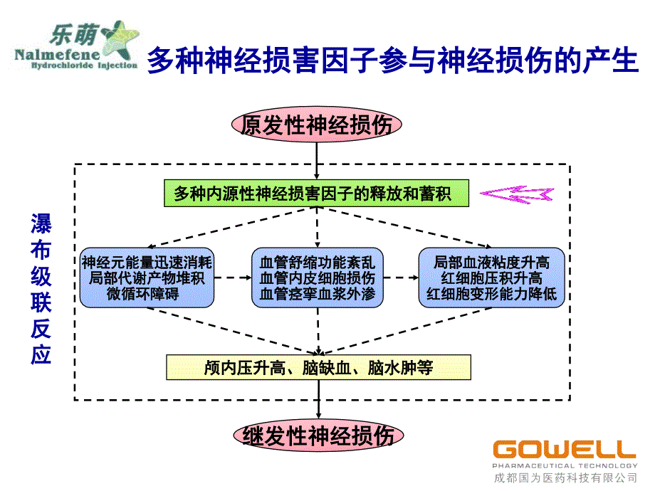 乐萌-神外(新版)课件_第4页