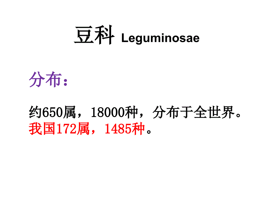 豆科 leguminosae_第1页