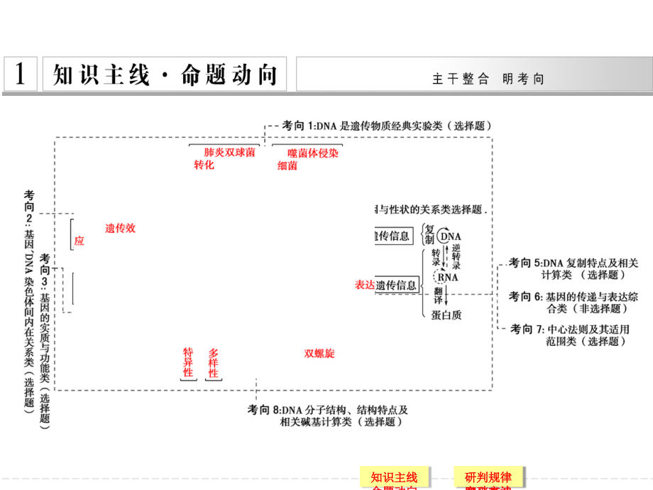 2015高考生物(江西专用)二轮专题复习配套幻灯片：第一篇-第三单元-专题一-遗传的分子基础_第2页