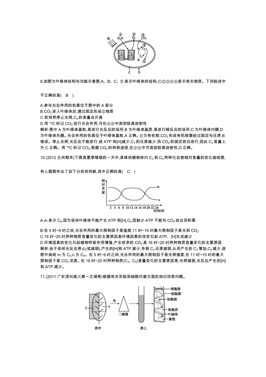 考点7　光合作用(含光能在叶绿体中的转换及实验六)_第4页