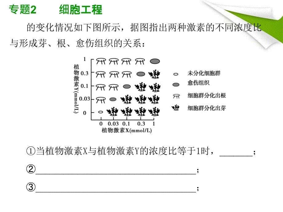 人教版教学幻灯片2012高考生物总复习课件：专题2《细胞工程》知识研习(新人教版选修3)(共42张ppt)_第5页