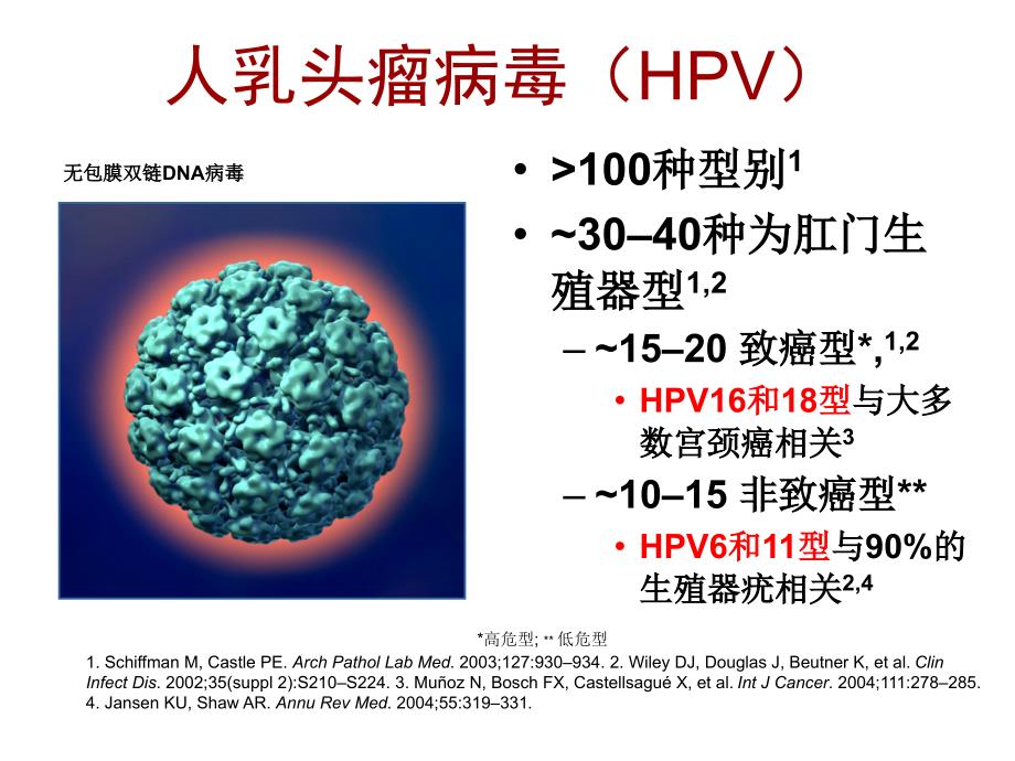 人乳头瘤病毒 hpv_第3页