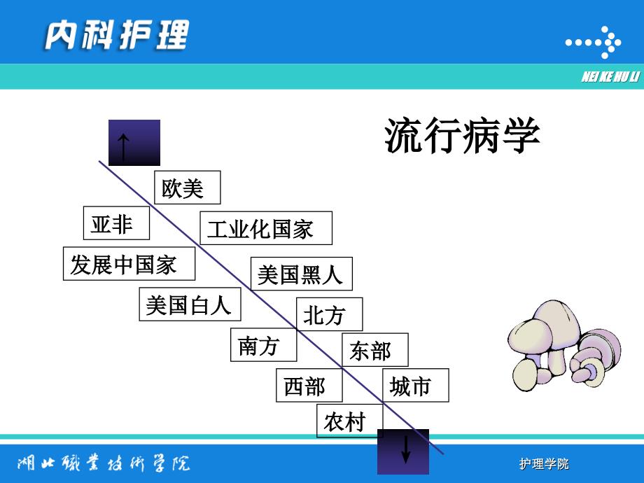 原发性高血压病人的护理（20111019）_第4页