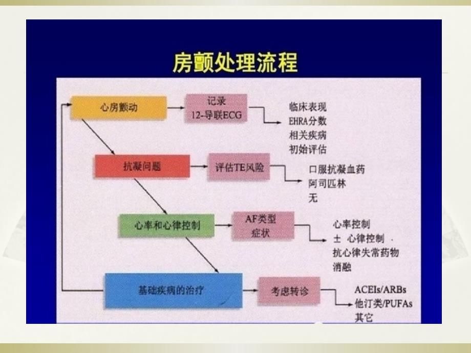 心房颤动紧急处理课件_第2页