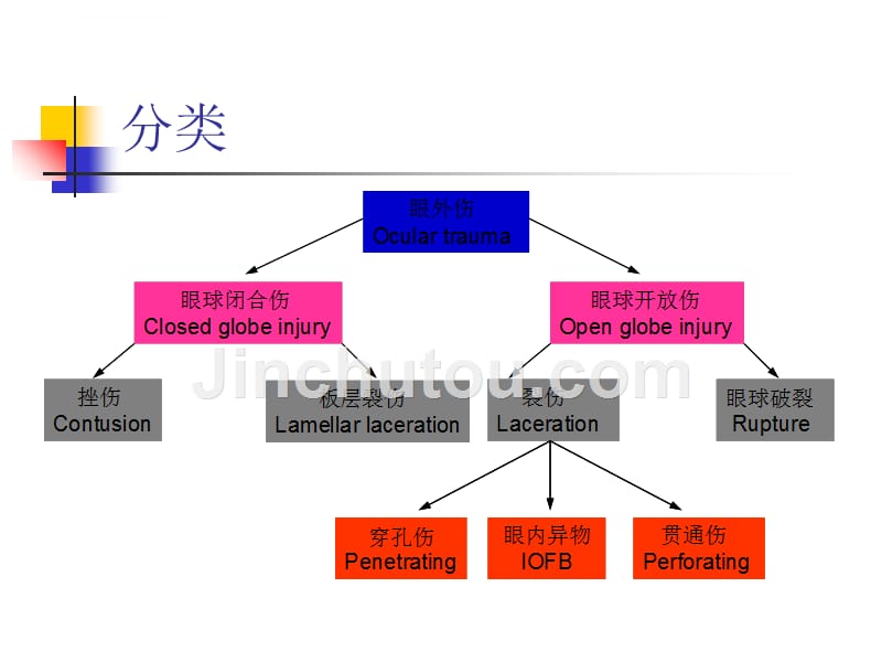 开放性眼外伤的处理时机及原则幻灯片_第3页