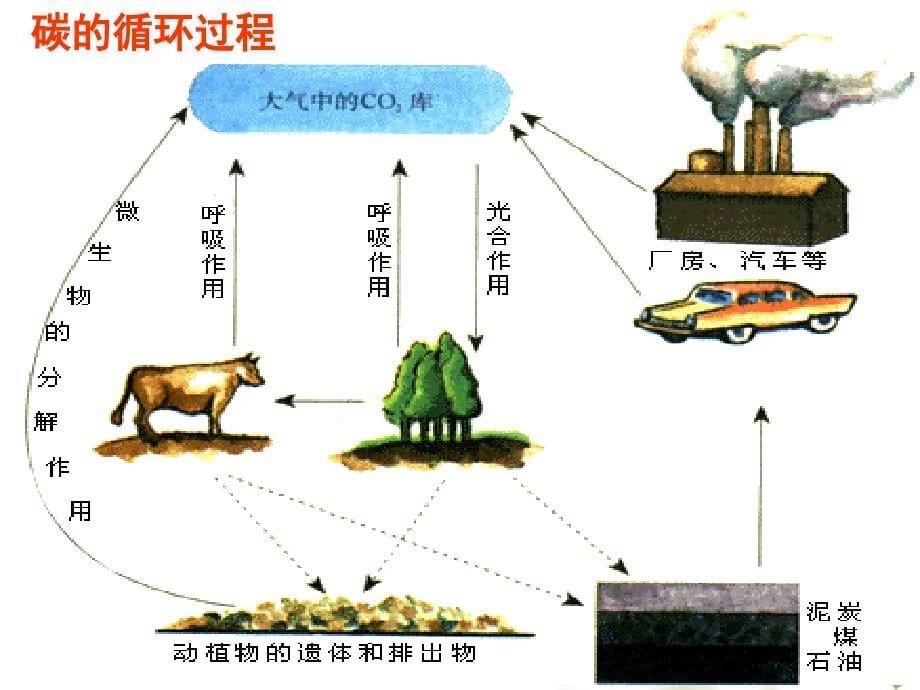 《高中生物》幻灯片-生态系统的物质循环_第5页