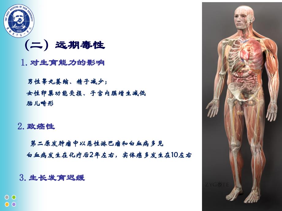 zcz-化疗常见毒副反应及处理课件_第3页