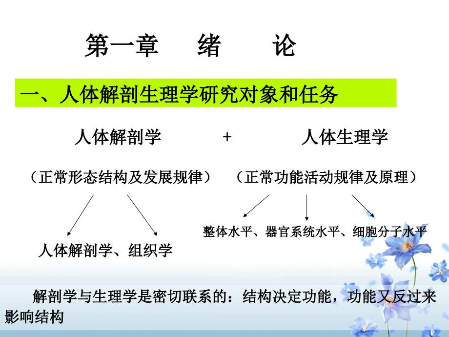 人体解剖生理学-绪论课件_第2页