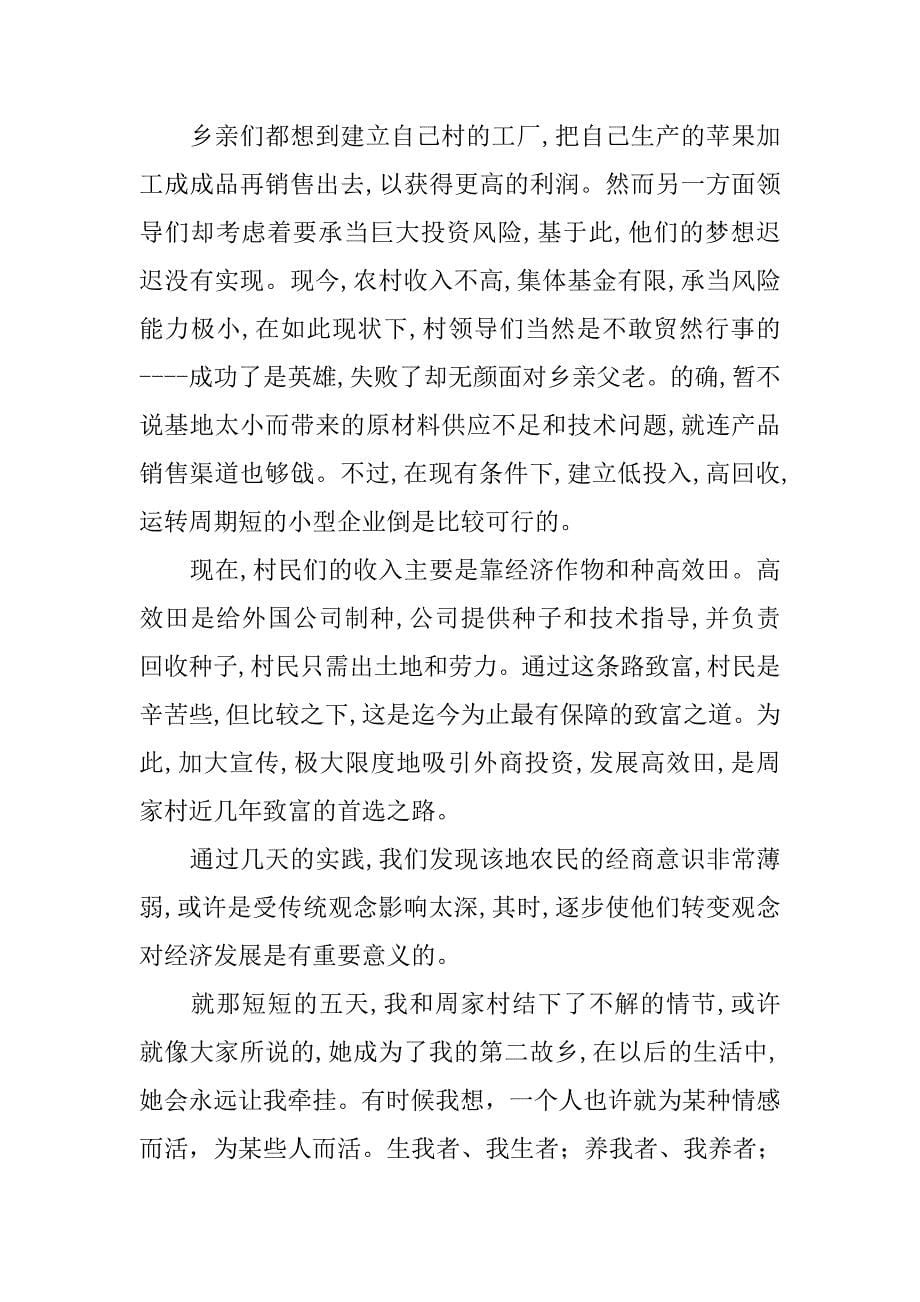 大学生三下乡社会实践的个人报告.doc_第5页