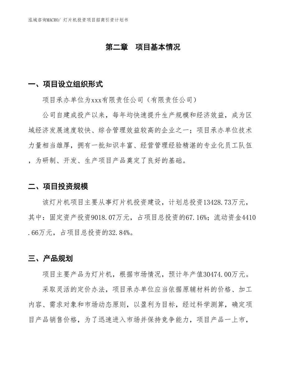 灯片机投资项目招商引资计划书_第5页