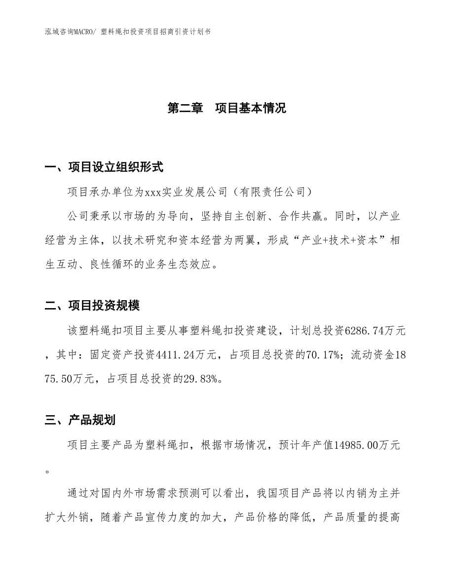 塑料绳扣投资项目招商引资计划书_第5页