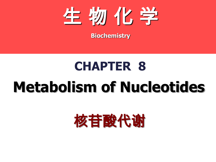 生物化学课件-第八章-核苷酸代谢_第1页