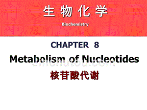 生物化学课件-第八章-核苷酸代谢