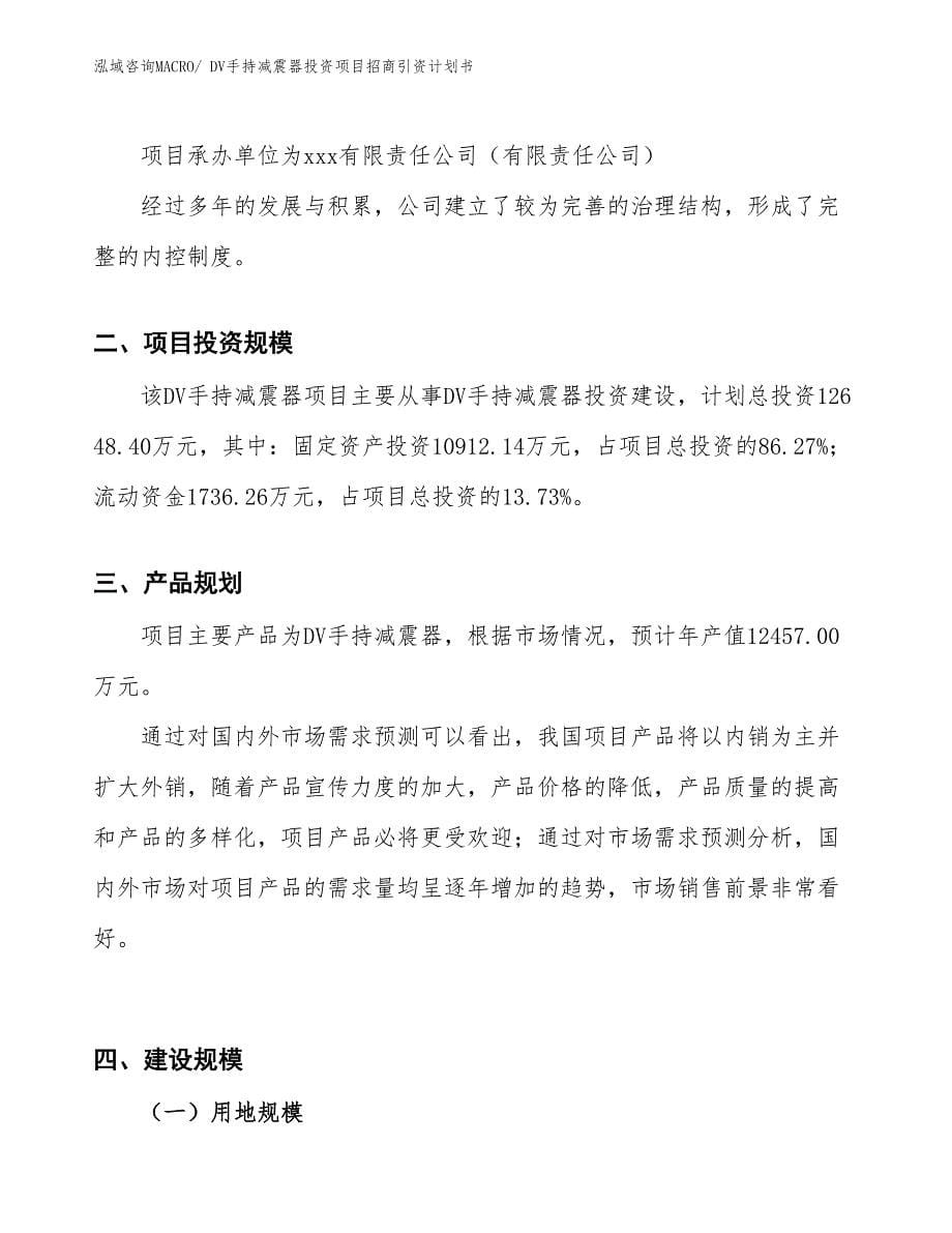 DV手持减震器投资项目招商引资计划书_第5页