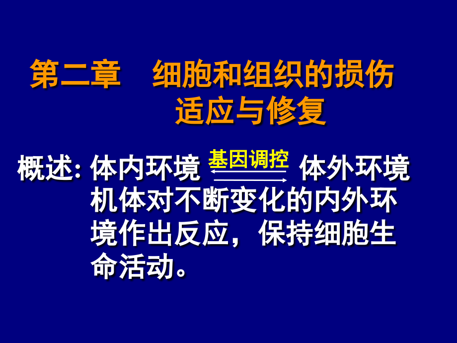 细胞和组织的损伤适应与修复 (2)课件_第1页