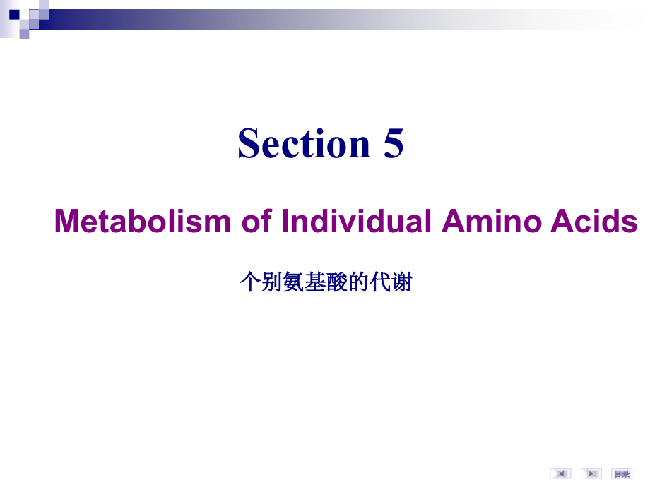 华科同济医学院生物化学课件氨基酸代谢-3_第2页
