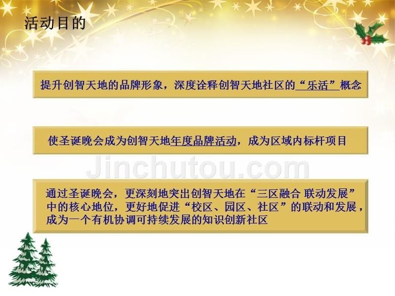 2011年创智天地七彩圣诞晚会_第5页