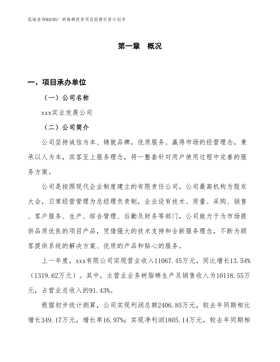 树脂棉投资项目招商引资计划书_第1页