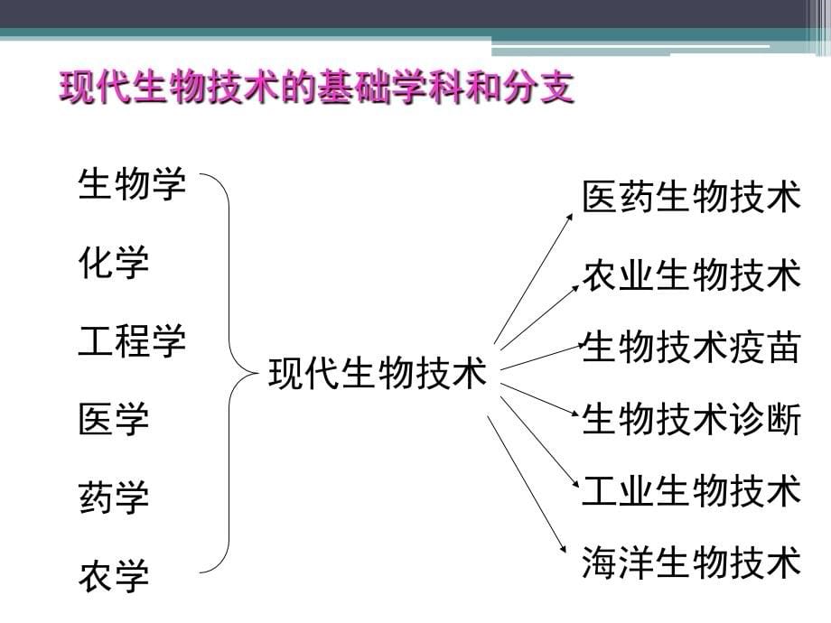 生物技术制药绪论课件_第5页