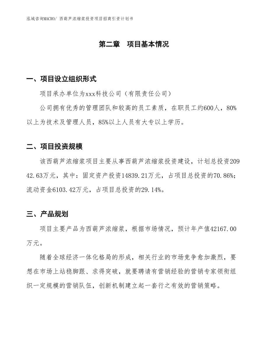 西葫芦浓缩浆投资项目招商引资计划书_第5页