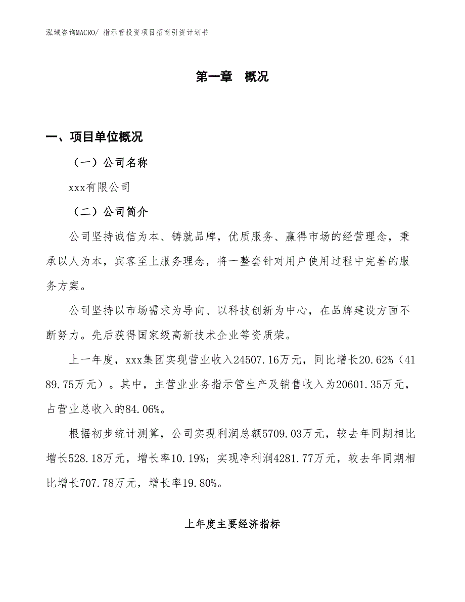 指示管投资项目招商引资计划书_第1页