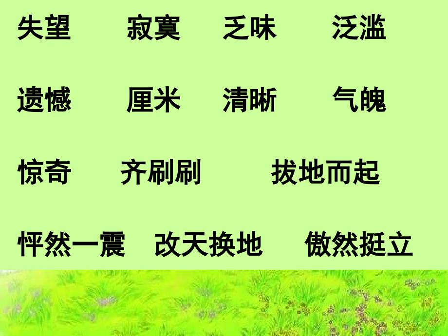 20.花的勇气ppt演示教学_第4页