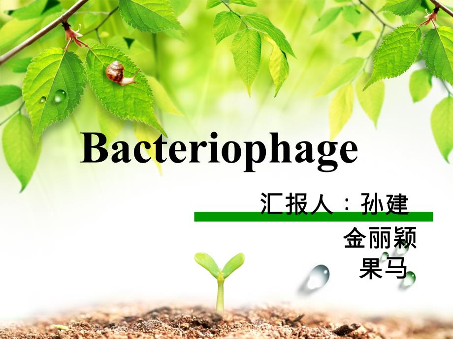 噬菌体ppt-医学微生物学课件_第1页